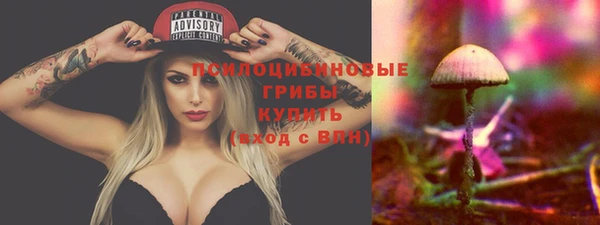 круглые Абаза